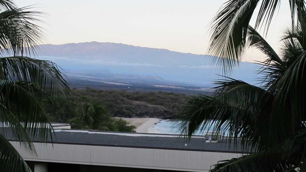 e0099496_859882.jpg