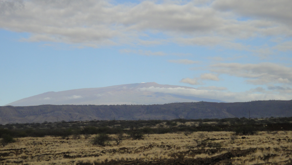 e0099496_95139.jpg