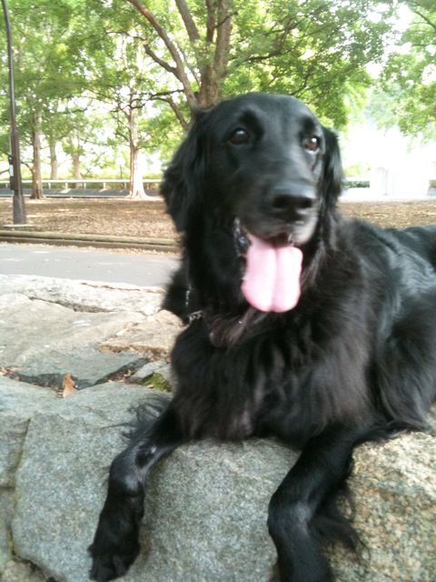 c0050400_238221.jpg