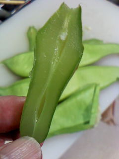 c0037701_21144411.jpg