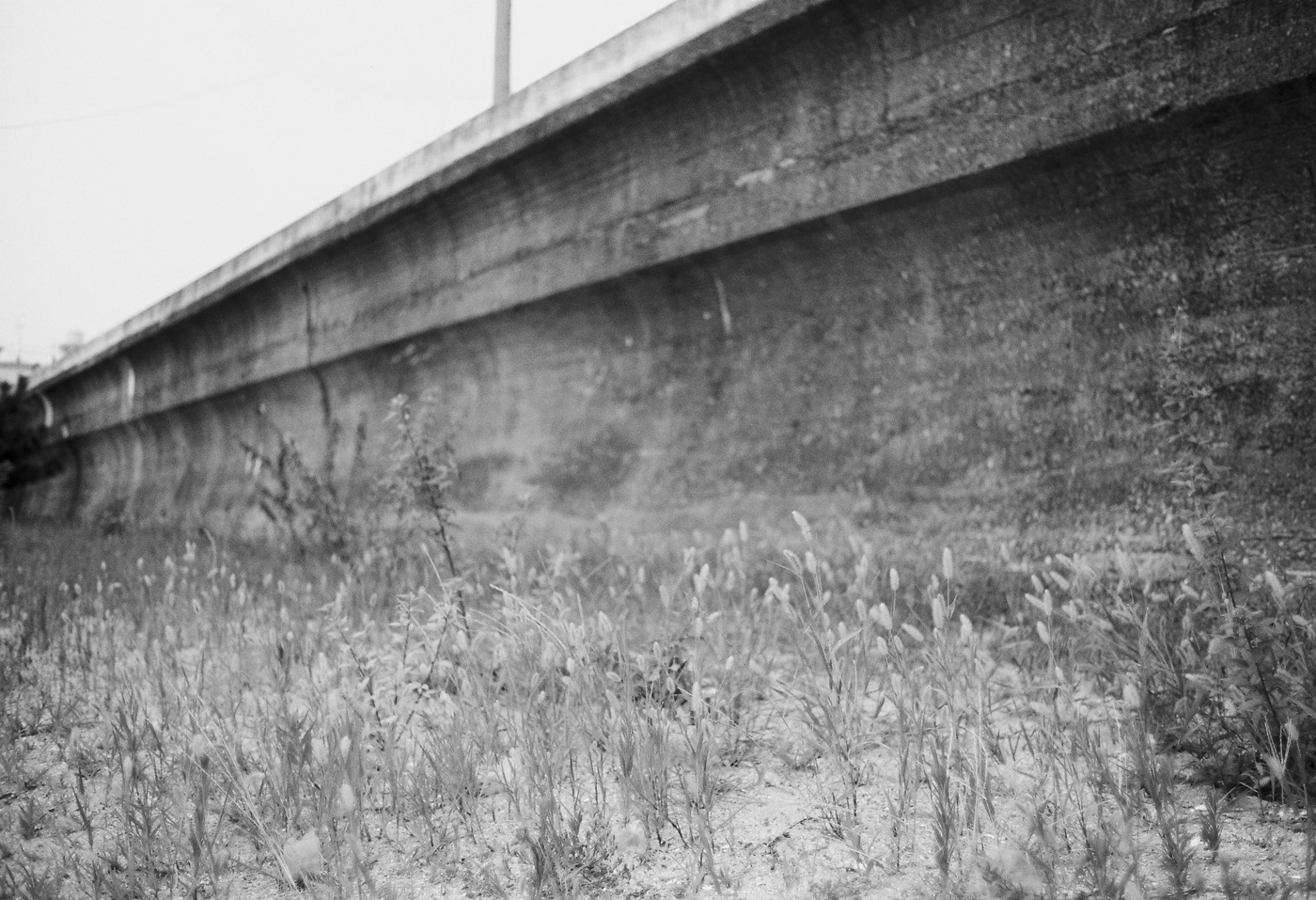 c0120903_04541100.jpg