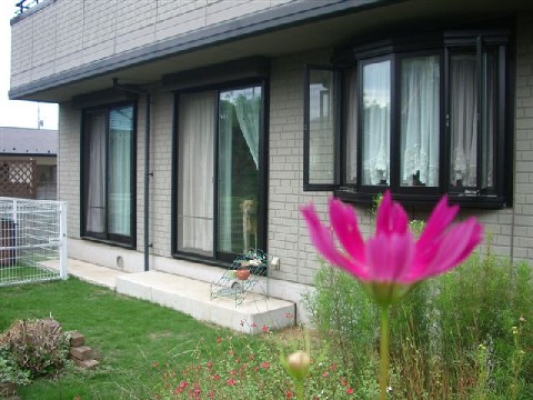 e0046305_7475713.jpg