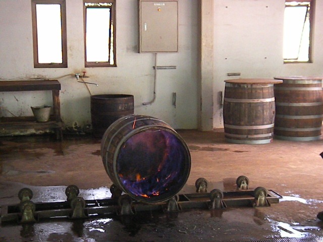f0038407_10304664.jpg