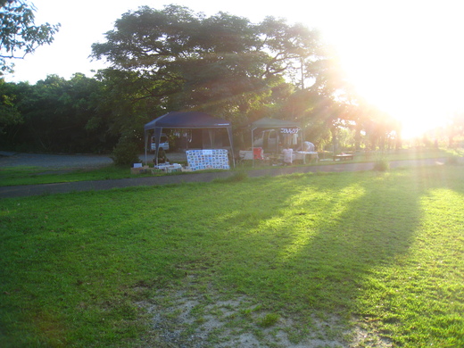 f0233007_8573685.jpg