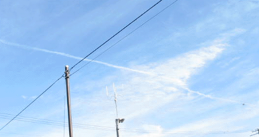 e0103408_23295944.gif
