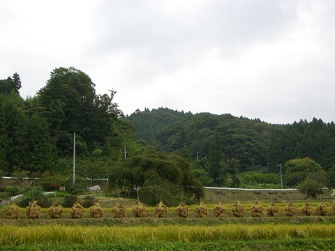 b0168412_20255878.jpg