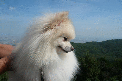 b0167519_8574529.gif