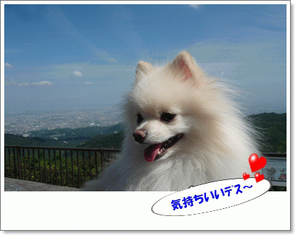 b0167519_8582649.gif
