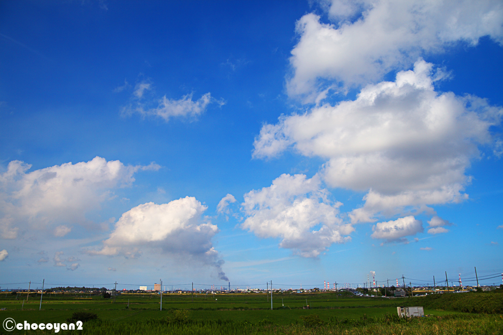 d0161322_230857.jpg