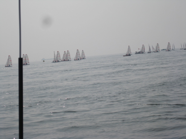 第65回国民体育大会「ゆめ半島千葉国体」 : TYC-Racing officialBlog
