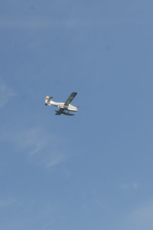c0024729_1794944.jpg