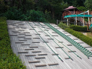 d0137829_1629234.jpg
