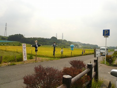 a0006033_13142729.jpg