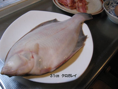 美味しい魚でしたよ！_f0156634_1444520.jpg