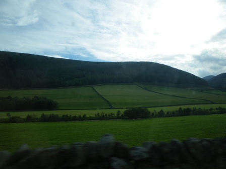 a0138438_20115466.jpg