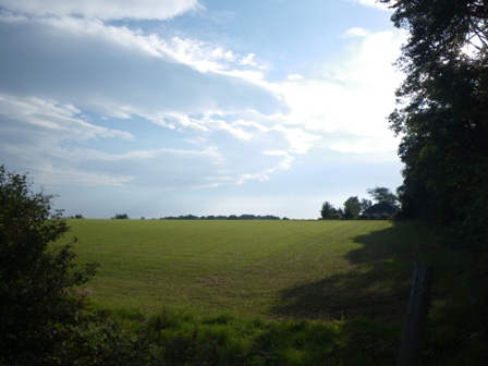 a0138438_209255.jpg