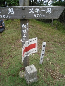 宮崎県　ゴボウ畑登山口より　白岩山～向坂山_c0077338_72216.jpg