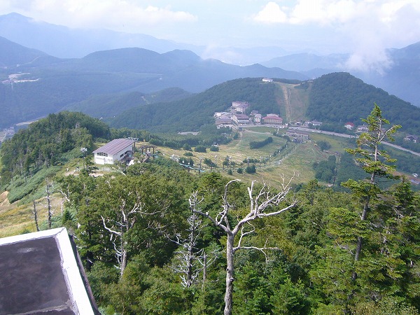 e0165338_19561833.jpg