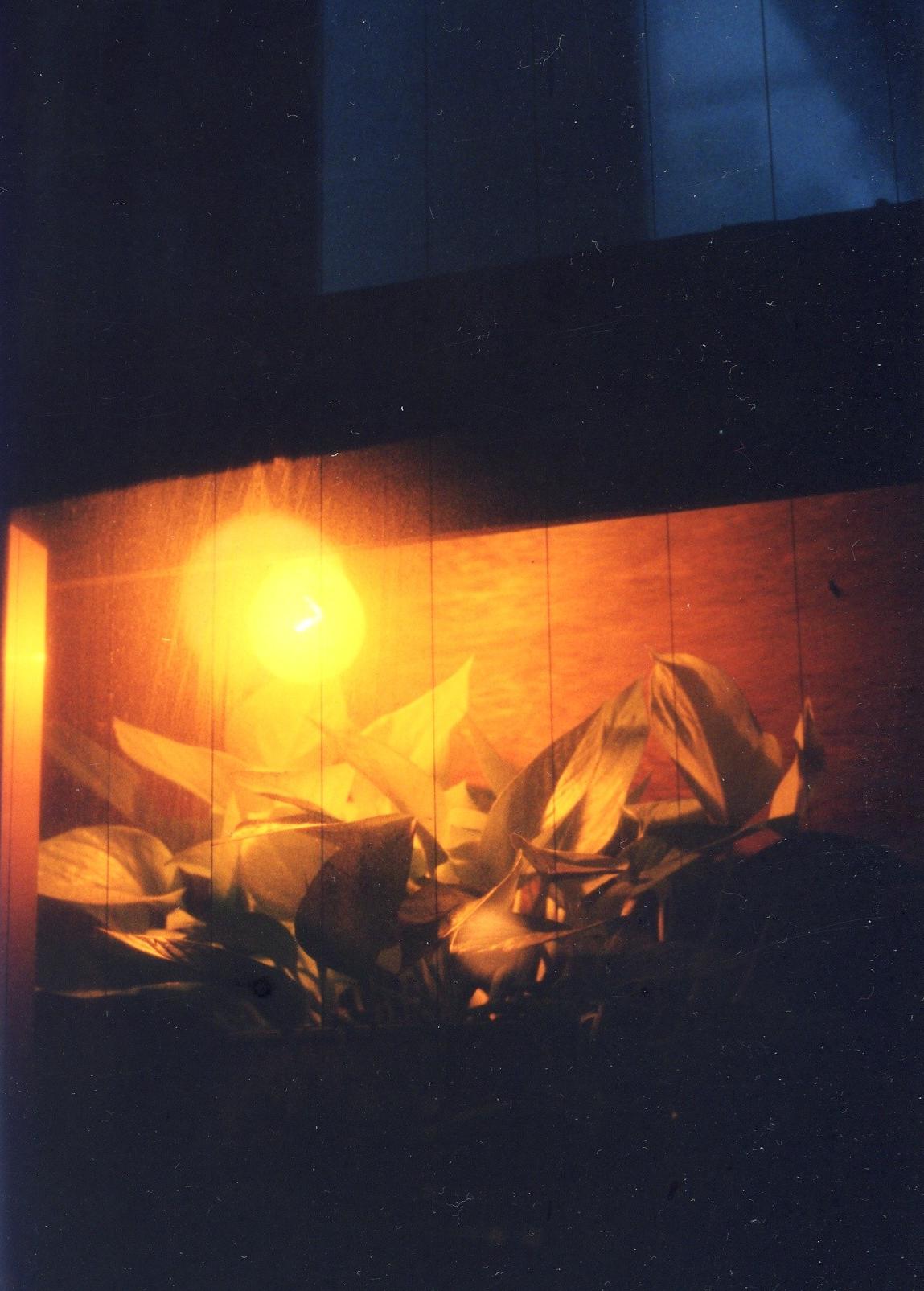 9月23日(木/祝)秋分の日、 ディナータイムイベント『Bagdad Cafe Night』_a0083140_1243659.jpg