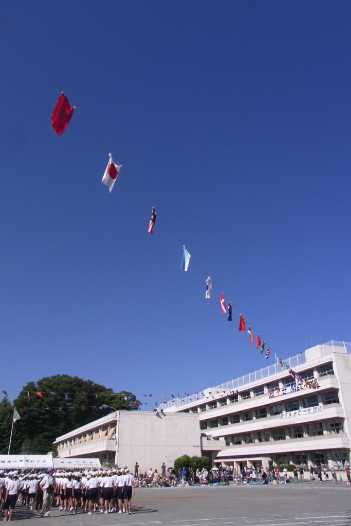c0067646_773953.jpg