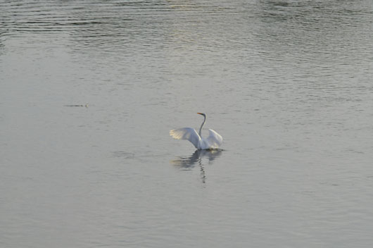 c0093046_8373086.jpg