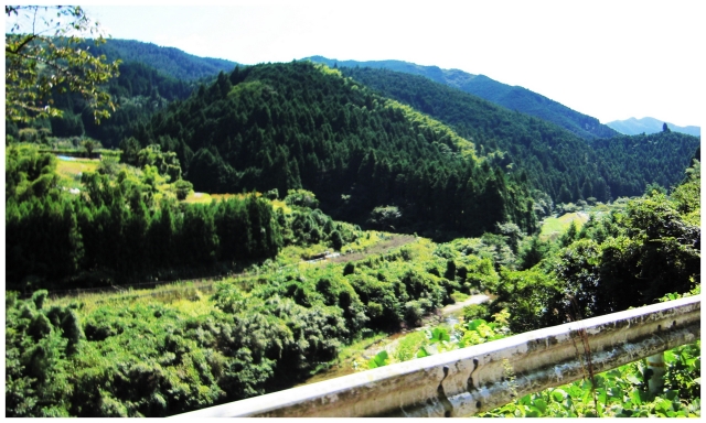 e0196546_135087.jpg