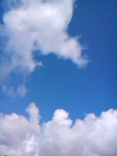 c0179647_13272886.jpg