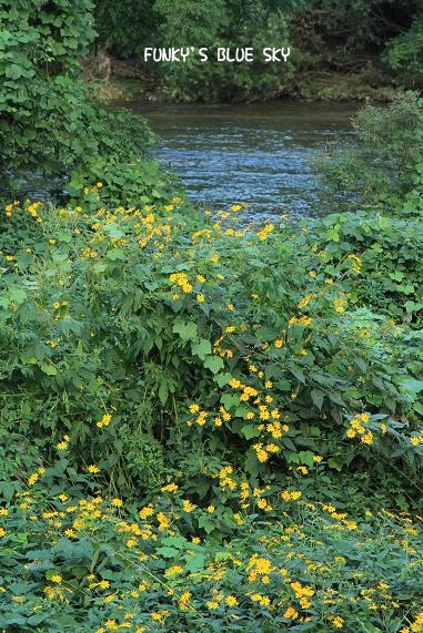 c0145250_15491050.jpg