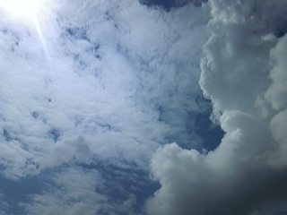 a0162251_2034115.jpg