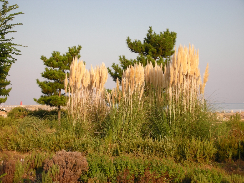 d0087054_1462576.jpg