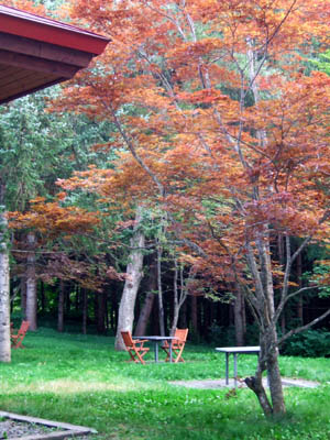 c0097856_8205199.jpg