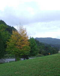 c0097856_8211063.jpg