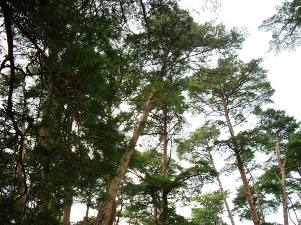 f0156158_2133478.jpg