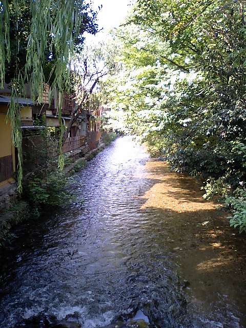 京都東山　ぶらぶら歩き_d0076760_15394770.jpg