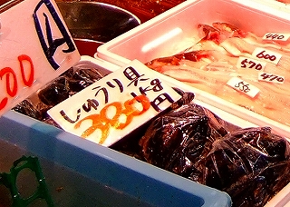 しゅうり貝 ひとりごと