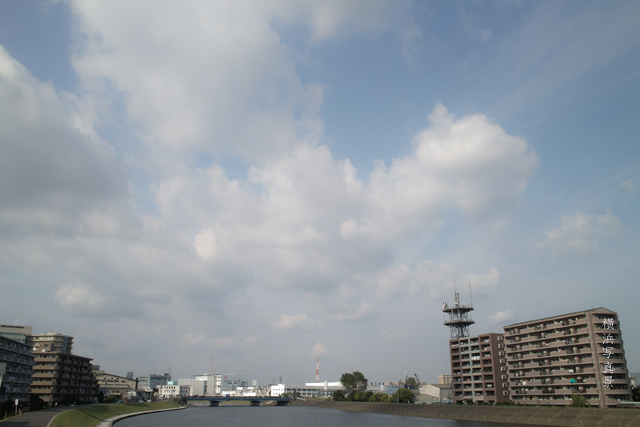 f0230961_7283485.jpg