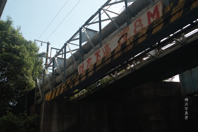 f0230961_81378.jpg