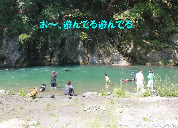 道志川で川遊び 走れ健太 道志川で川遊び 走れ健太