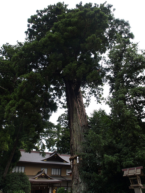 香取神宮と息栖神社 （9/19）_b0006870_23364090.jpg