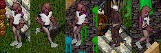 b0190672_3492493.gif