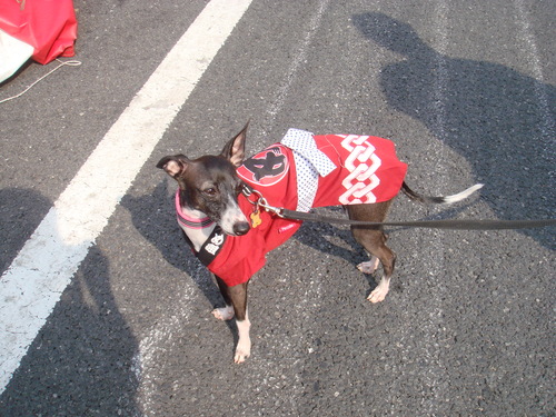 f0223972_2225028.jpg