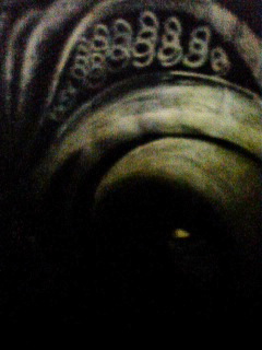f0059573_23404370.jpg