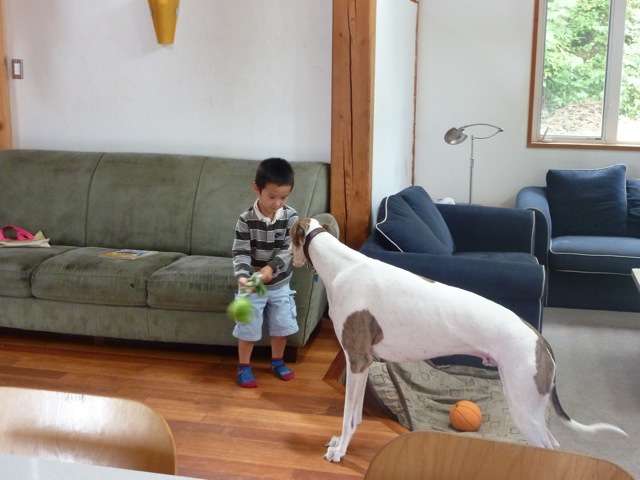ようやく落ち着いてきました。_c0080075_23435293.jpg