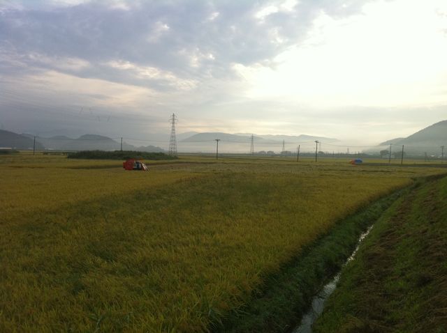 朝の北上川_b0082977_914681.jpg