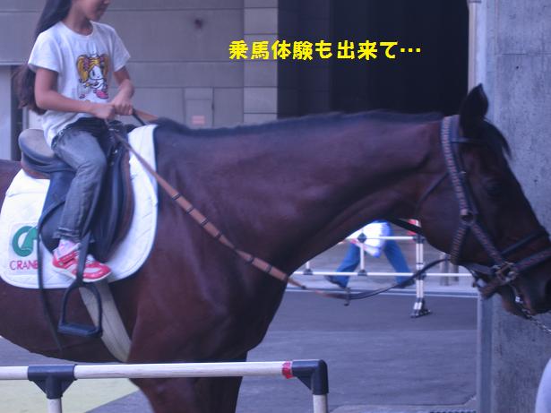 e0027078_78181.jpg