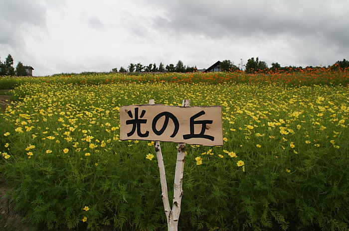 c0112479_22461929.jpg
