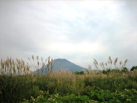 b0097183_9233841.jpg