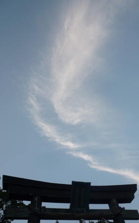 c0204088_5594971.jpg