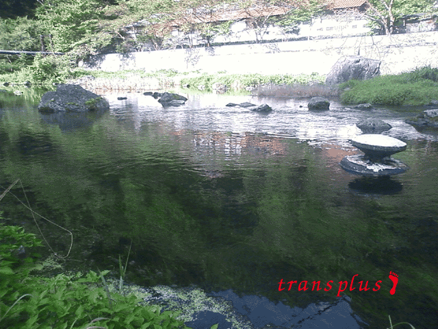 b0031493_9543789.gif