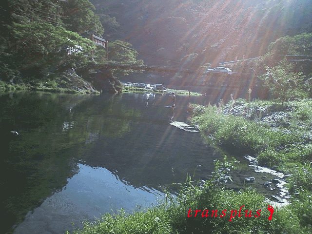 b0031493_9562244.gif